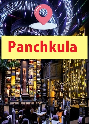 India Escorts at Panchkula